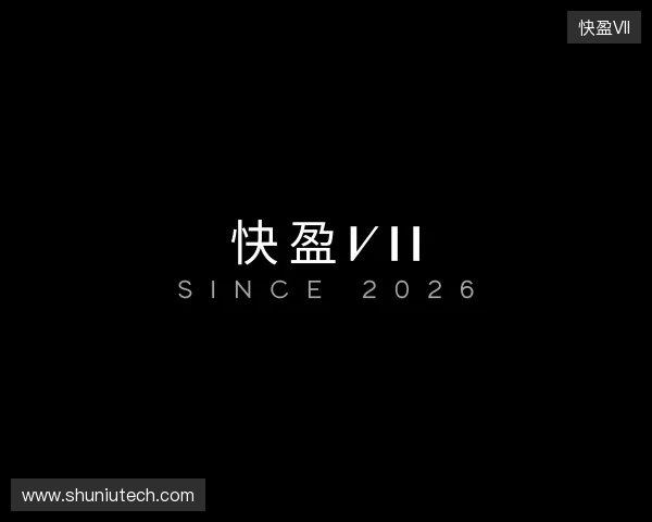 介绍快盈VII